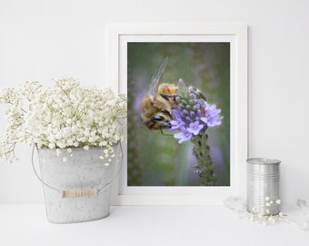 Bumble Bee On Blue Vervain Flower Wildlife Wall Art Print 8x10 11x14 16x20 Vertical