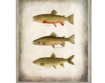 Brook Rainbow and Lake Trout Fish Fishing Wall Art Digital Download Prints Up To 30x20 Wall Art