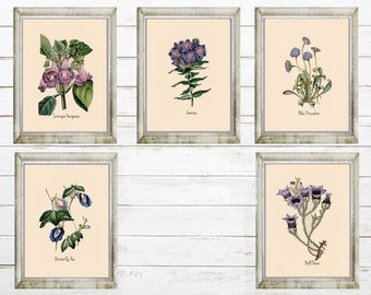 Garden Floral Digital Images Set of 5 in Shades of Blue and Purple