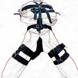 Arnés de sujeción de cuerpo completo ajustable: correas de nailon duraderas con anillas en D, perfecto para juegos de rol en el dormitorio y entusiastas del BDSM.