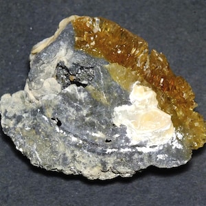 Fossil Clam Shell With Calcite Crystals Rucks Pit Florida 2 Million Years Old Early Pleistocene Ancient Sea Fossil For Collection Or Gift