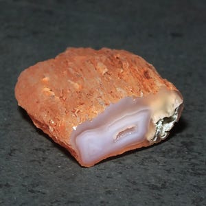 Banded Agate Limb Cast - South Fork Crooked River Oregon, 38-30 Million Years Old