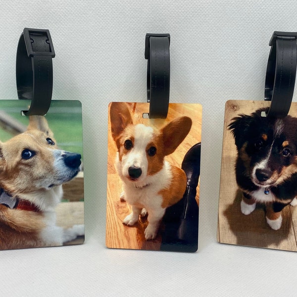 Custom Pet Carrier/Luggage/Baggage Tags