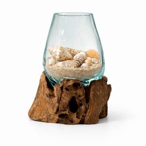 May include: A clear glass vase filled with sand and seashells, resting on a natural wood base. The vase has a teardrop shape and contains various seashells in different colors and sizes. The wood base is a rough, organic shape.