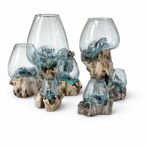 May include: A collection of clear glass vases and bowls, each with a unique shape, resting on natural driftwood bases. The glass has a slight blue tint, and the driftwood is a light brown color. The arrangement includes various sizes, creating a natural, organic aesthetic.