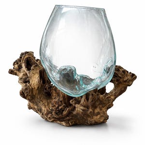 May include: A clear glass vase with a wide opening, resting on a piece of natural driftwood. The vase has a rounded shape and sits securely on the textured, brown wood base. The glass has a slight blue tint.