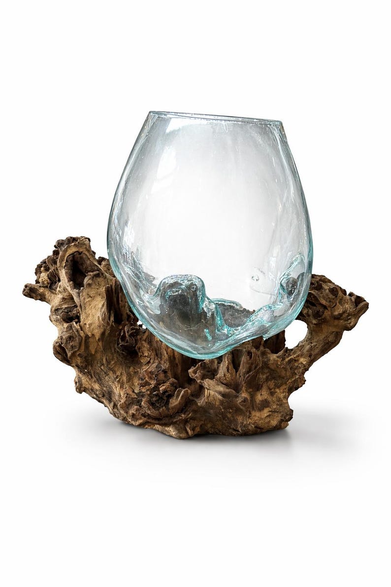 May include: A clear glass vase with a wide opening, resting on a piece of natural driftwood. The vase has a rounded shape and sits securely on the textured, brown wood base. The glass has a slight blue tint.