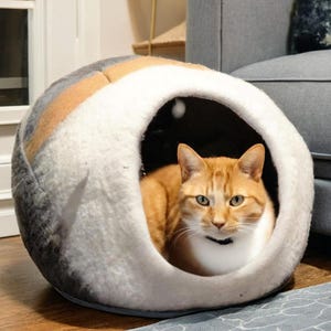 May include: A cat relaxing in a round, grey, white and orange felt cat bed. The bed has a large opening for the cat to enter and exit.