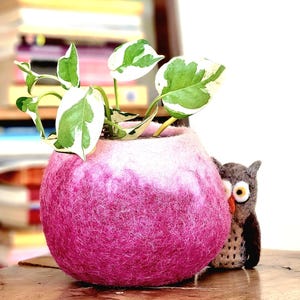 May include: A pink felt planter with a white variegated plant inside. A small grey owl figurine is peeking out from behind the planter.