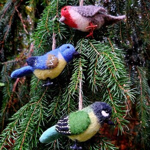 May include: Three felt bird ornaments hanging from a pine tree branch. The birds are blue, green, and red with yellow accents.