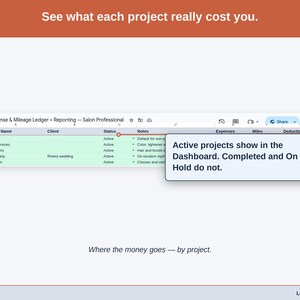 The Projects tab, costs grouped the way a salon professional business actually divides its work. by service line, event booking, or certification