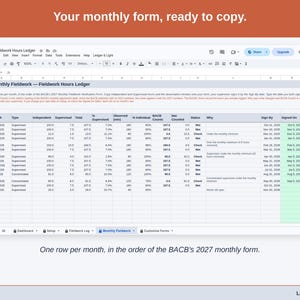 The Monthly Fieldwork tab: one row per month in the order of the BACB’s 2027 monthly form, with independent and supervised hours, observed minutes and a status.