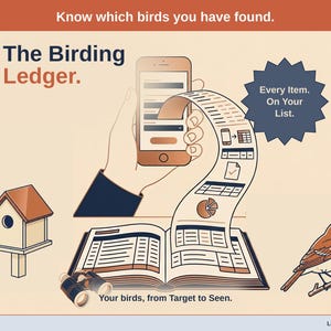 Title slide for the Birding Ledger - a birdhouse, a songbird on a branch and a pair of binoculars around an open ledger, with a phone feeding it: your birds, from Target to Seen.