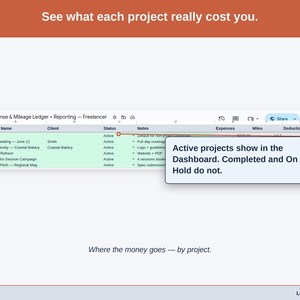 The Projects tab, costs grouped the way a freelancer business actually divides its work. by client, retainer, or project