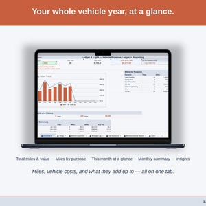 Full-width view of the Dashboard tab: total miles & value, miles by purpose, this month at a glance, monthly summary, insights — a whole driving year on one tab.