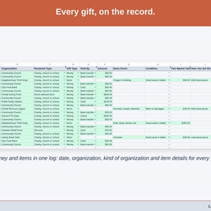 The Gift Log tab with the sample year: money and item gifts in one log, with gift value, net gift, non-itemizer cash and a Records Check beside each.