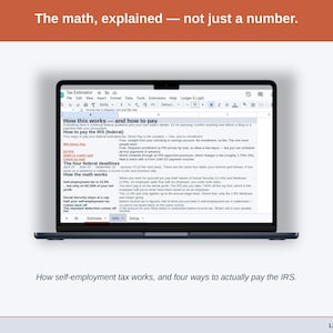 The Info tab, explaining how self-employment tax is worked out and setting out four ways to actually pay the IRS.