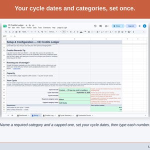 The Setup tab’s cycle section: a required category, a capped category, the cycle start and end dates, and the credit numbers for each.