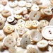 100 Mother of Pearl Buttons, vintage button lot, craft buttons, antique buttons, shabby buttons, pearl buttons, mop buttons 
