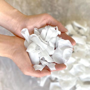 Konservierte Rosenblüte Konfetti Weiß Hochzeit Toss Echte Blume Konfetti Biologisch abbaubar Hochzeit Rauswurf Blumenmädchen Korb Konfetti Schüttgut