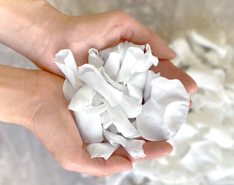 Wit geconserveerde grote rozenblaadjesconfetti, biologisch afbreekbare bruiloft