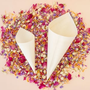 Wedding Confetti Cones Pinewood Confetti Cones Biodegradable Cones Flower Toss Birthday Party Bridal Shower Baby Shower Party Supply