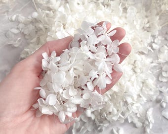 Witte bloemblaadje confetti hortensia bloemblaadje confetti biologisch afbreekbaar bruiloft uitgang gooien bloemenmeisje mand bruids douche baby shower bloemblaadje bulk