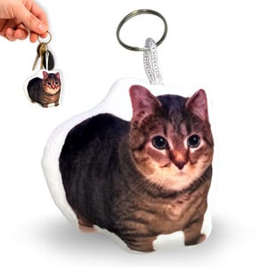 May include: A cat-shaped keychain featuring a tabby cat design. The keychain is attached to a metal ring and a small fabric loop. The cat has brown and black stripes with big eyes and a white background.