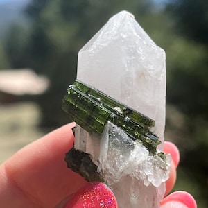 Green tourmaline on quartz mineral specimen Taquaral Brazil