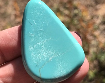 Troy Springs Turquoise Cabochon Nevada closed mine