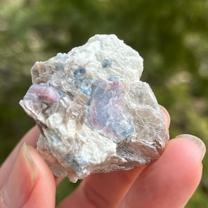 May include: A raw, natural mineral specimen featuring a mix of colors. The stone has a white, crystalline base with patches of blue and pink hues. The mineral is held in a hand, with a blurred green background.
