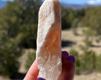 Tangerine Dreamsicle Lemurian rare crystal  Brazil single point