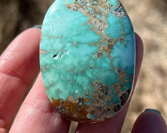 Sonoran Turquoise cabochon Mexican