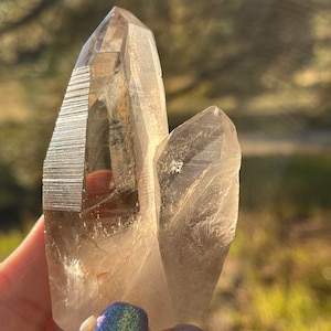 May include: A clear, double-terminated quartz crystal cluster with a light brown hue. The crystal has a smooth, polished appearance with visible internal structures. The background is blurred, suggesting an outdoor setting, possibly a garden or natural area.
