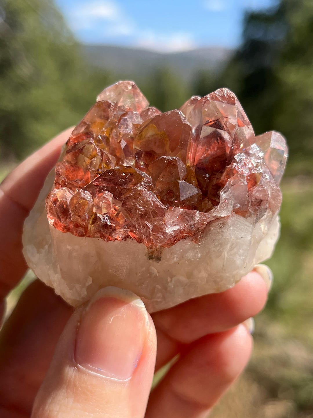 A.Crystall var × A.Red Phantom Red Phantom Cluster Quartz Crystal Nigerian AA - Etsy