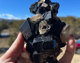 Namibian Black Tourmaline with Smoky Quartz cluster stone