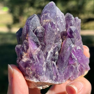 Tutu Amethyst Cluster Rare Self Standing Natural Stone - Etsy