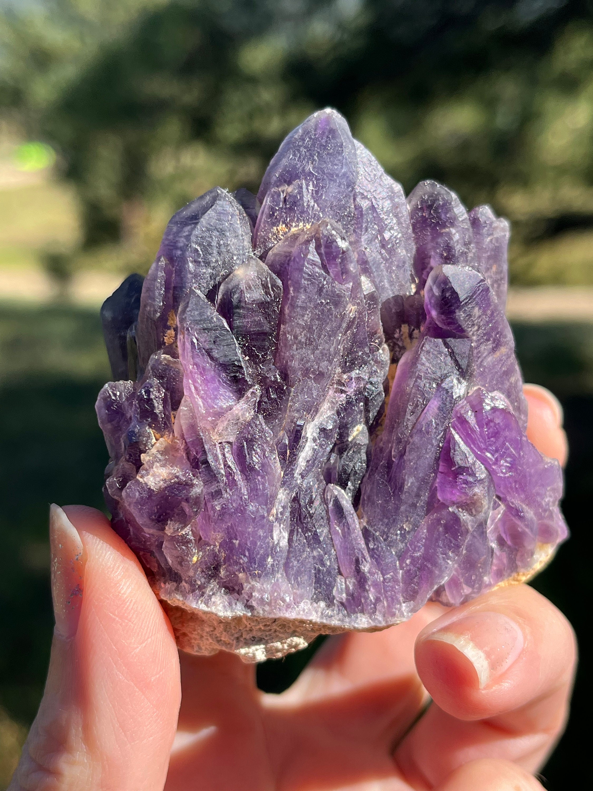 Tutu Amethyst Cluster Rare Self Standing Natural Stone - Etsy