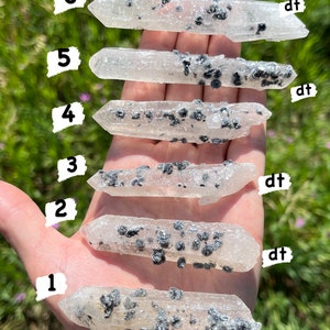 May include: Six clear quartz crystal points with black inclusions, labeled 1 through 6. The points are arranged vertically in a hand, with the largest point at the top and the smallest point at the bottom. Each point is labeled with a number and the letters "dt" are written next to the top three points.