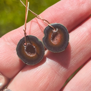 May include: A pair of earrings featuring green agate slices with a brown and white crystal center. The earrings are attached to gold-colored wire.
