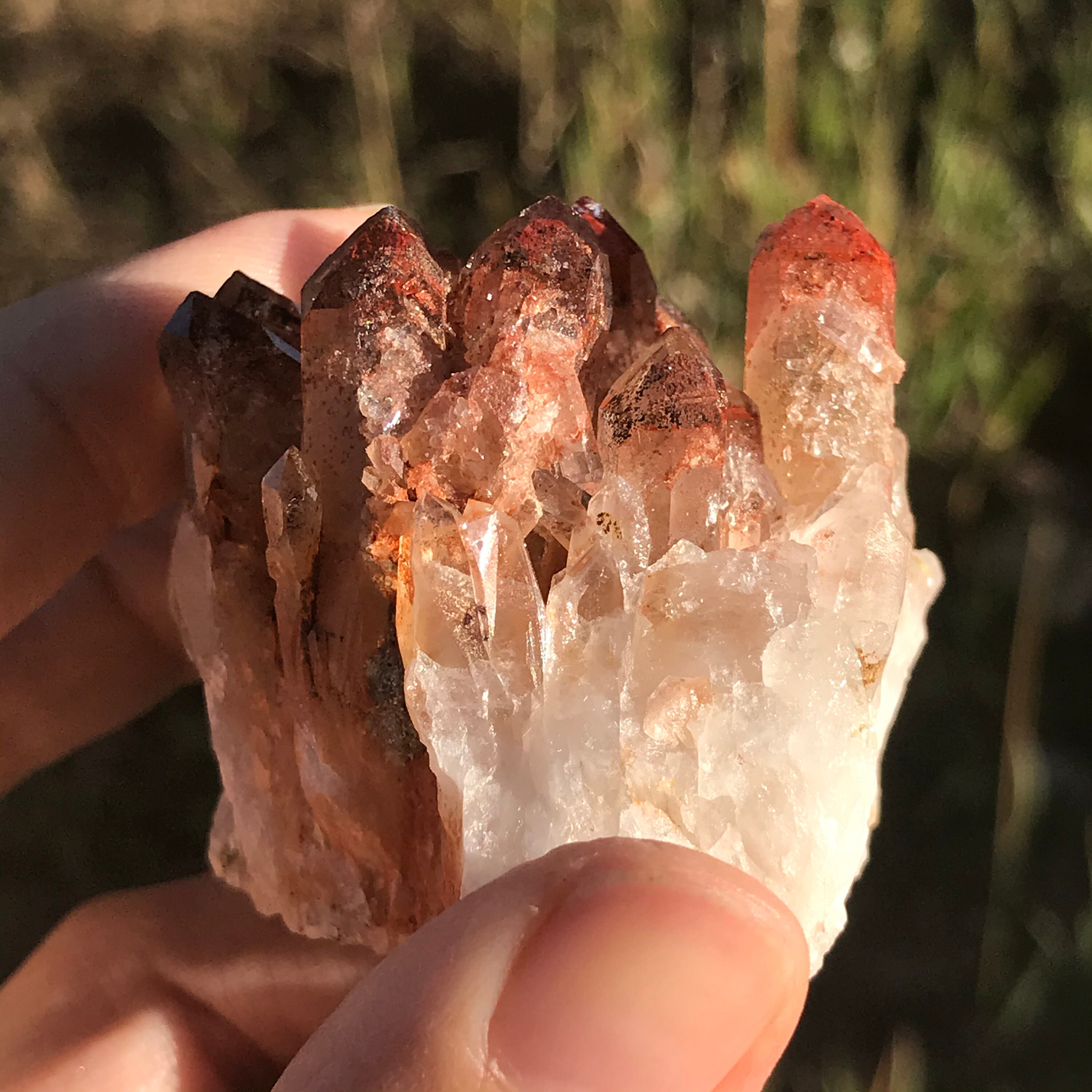 Orange River Quartz Cluster Rare Collectable Gemstone Natural Etsy