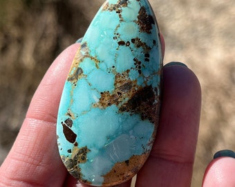 Sonoran Turquoise cabochon Mexican