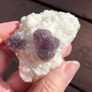 Fluorite on Matrix specimen Mina Navidad Mexico stone crystal