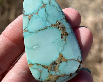 Sonoran Turquoise cabochon Mexican