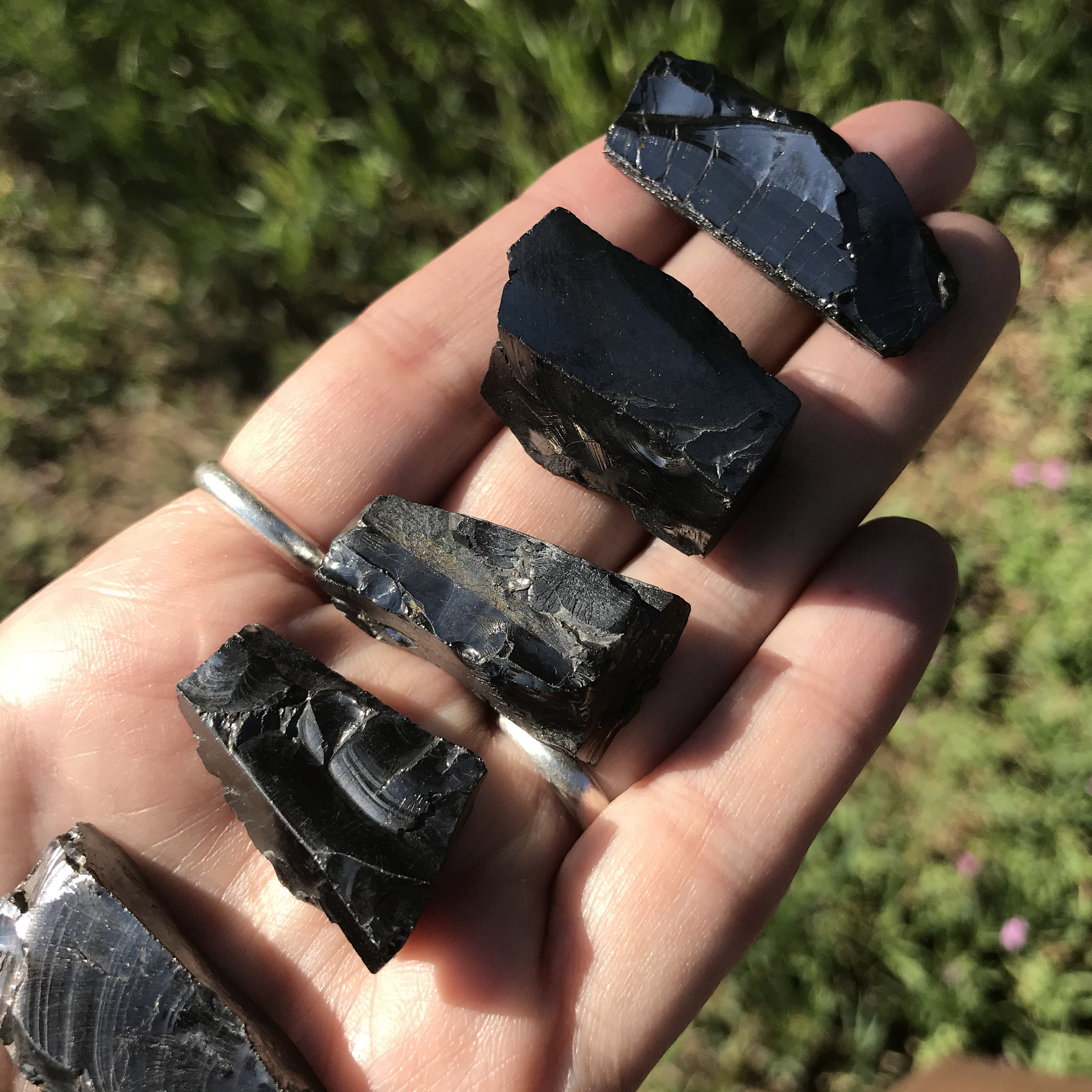Elite Noble Rough Shungite Stone large Clean Water Russia