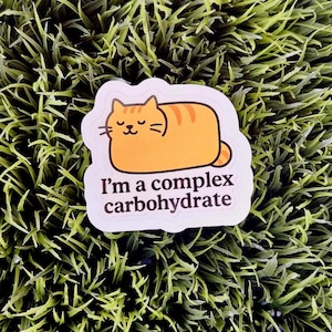 Può includere: Un adesivo con un gatto arancione dei cartoni animati con strisce marroni e la scritta "I'm a complex carbohydrate". L'adesivo è su uno sfondo di erba verde.