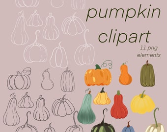 Pumpa Clipart Set | Handritade höstpumpor | Digitala illustrationer för skörd, Thanksgiving och Halloween