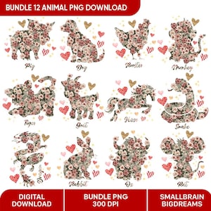 Floral Lunar New Year Chinese Zodiac Animals PNG Bundle, Cute Chinese Zodiac Clipart, Zodiac PNG, Horoscope Clipart, 12 Chinese Zodiac Signs