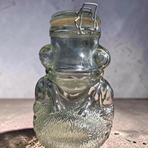 May include: A clear glass jar shaped like a frog with a textured base and a metal wire bail closure. The jar features a cork seal under the lid, with moulded glass details forming the frog's head, eyes, and limbs resting on a textured surface.