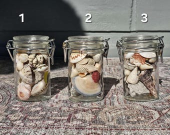 x1 Jar of Shells & Ocean Delights! ** One Vintage Jar Full of Colourful Vintage Australian Seashells **